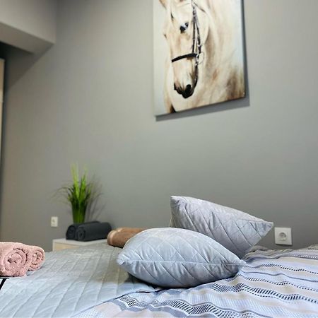 Nj Luxury Rooms And Suites Varna Exterior foto